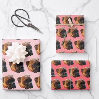 Cute Pink Girly Boxer Dog   Sheets