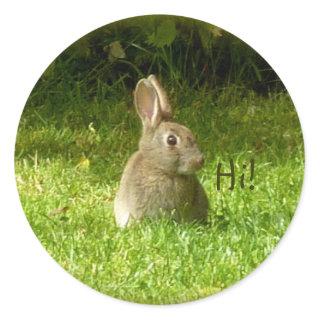 Cute rabbit! classic round sticker