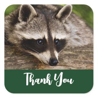 Cute Raccoon Resting on a Log Thank You Square Sticker