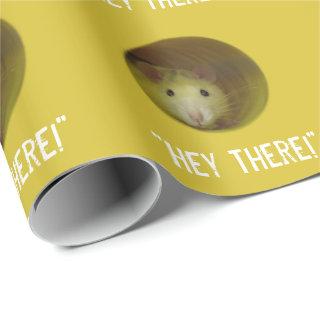 Cute Rat in Hole Funny Animal