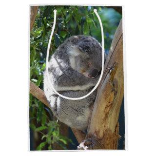 Cute Sleeping Koala in Tree Medium Gift Bag