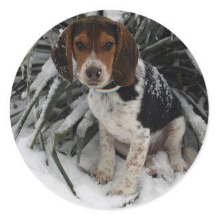 Cute Snoopy Beagle Puppy Dog  in Snow Classic Round Sticker