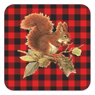 Cute Squirrel Red Black Buffalo Check Plaid Square Sticker