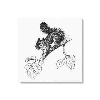 Cute Squirrel Vintage Squirrel Illustration Canvas Print