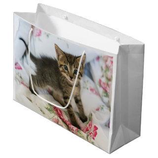 Cute Tabby Kitten Looking Surprised Large Gift Bag