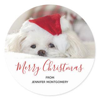 Cute White Dog in a Red Christmas Hat Classic Round Sticker