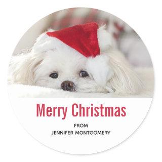 Cute White Dog in a Red Christmas Hat Classic Round Sticker