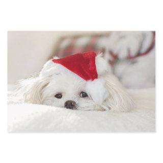 Cute White Dog in a Red Christmas Hat  Sheets