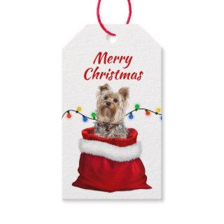 Cute Yorkshire Terrier Dog in Santa Bag Gift Tags