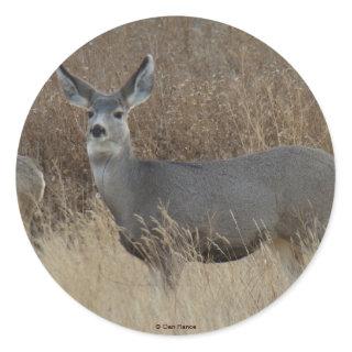 D14 Mule Deer Doe Classic Round Sticker