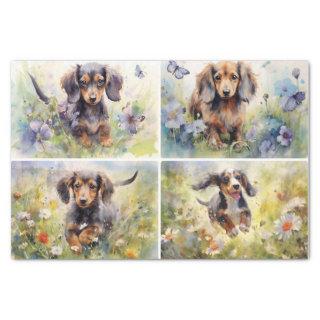Dachshunds Tissue Paper