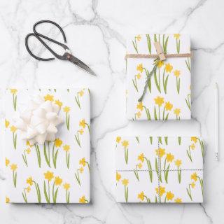 Daffodils Easter Spring Floral Pattern Bulbs Gift  Sheets