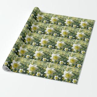 Daffodils Spring Flowers Pattern