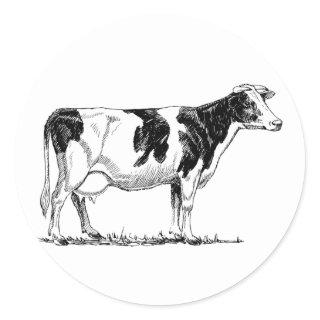 Dairy Cow Holstein Fresian Pencil Drawing Classic Round Sticker