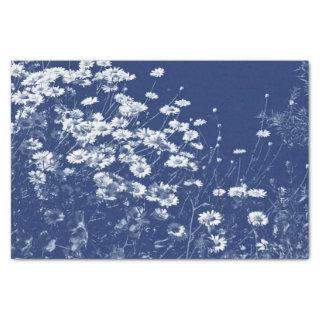 Daisies - Cyanotype Effect Tissue Paper