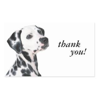 Dalmatian dog beautiful photo, thank you stickers