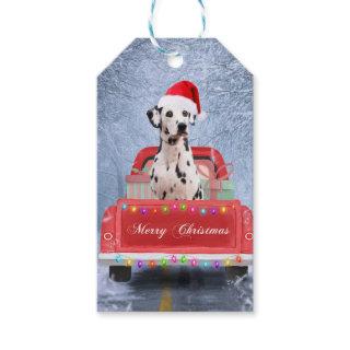 Dalmatian Dog in Snow sitting in Christmas  Gift Tags