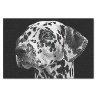 Dalmation Dog Black & White Decoupage Tissue Paper