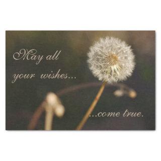 Dandelion Seed Head in Brown Tones Tissue Paper