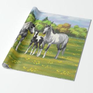 Dapple Gray Pinto Paint Horses In Summer Pasture