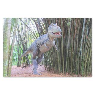 Daspletosaur - Dinosaur Tissue Paper