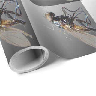 Dead Fly