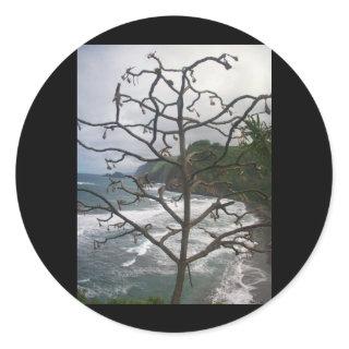 Dead Hawaiian Tree Classic Round Sticker