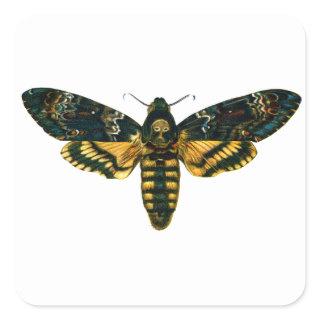 Death's Head Moth Square Sticker