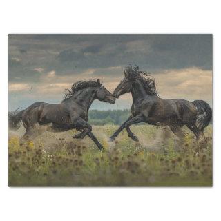 Decoupage 2 Majestic  Black Wild Stallions  Tissue Paper