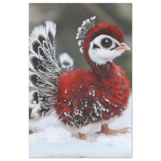 Decoupage Christmas Bird in Red and Black Feathers Tissue Paper