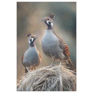 Decoupage Gamble's Quail Unique Feather Patterns Tissue Paper