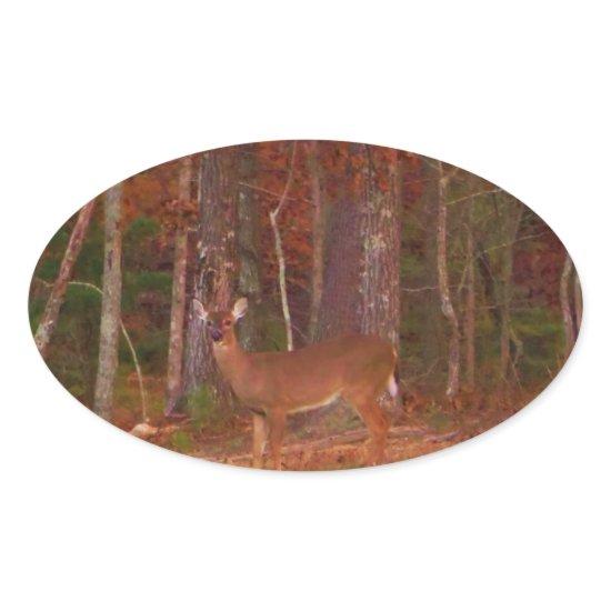 Deer , Green Grass red and Gold leaves Oval Sticker