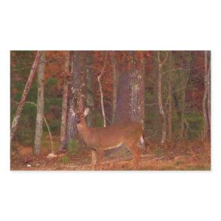 Deer , Green Grass red and Gold leaves Rectangular Sticker