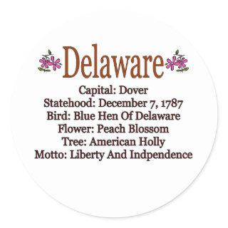 Delaware State Info Sticker