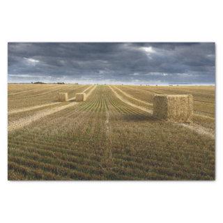 Denmark Wheat Field Tissue Paper