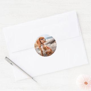 DESIGN YOUR OWN CLASSIC ROUND STICKER
