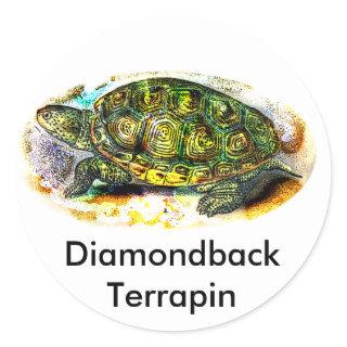diamondback Terrapin Turtle from JungleWalk.Com Classic Round Sticker
