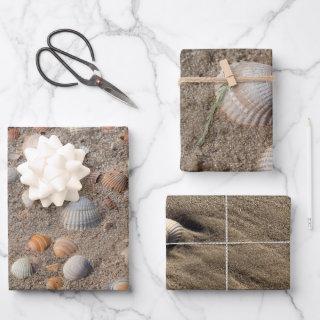 Different Sea shell photos  Sheets
