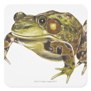 Digital illustration of Green Frog Square Sticker