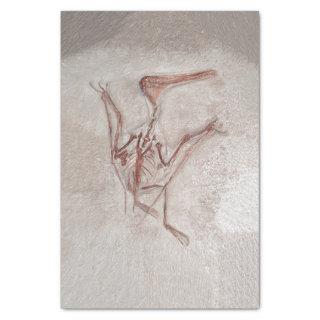 Dinosaur Bones Old Prehistoric Sketch Art Tissue Paper