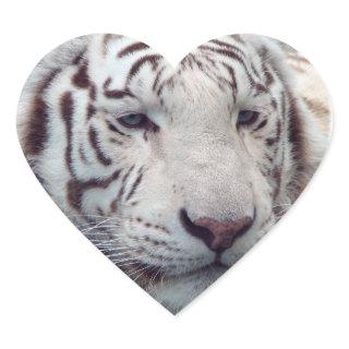 Disappearing Tigers Heart Sticker