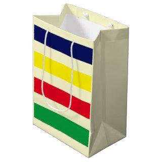 DIY Colors 4 Stripe Red Blue Yellow Green Cream Medium Gift Bag