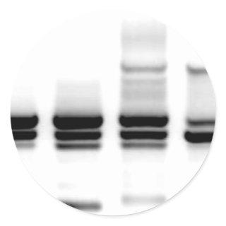 DNA Gel Classic Round Sticker