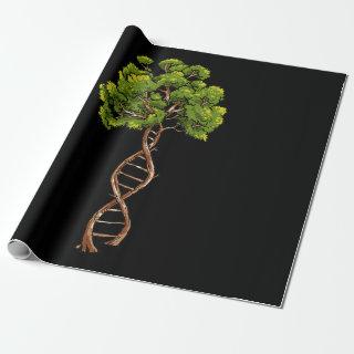 Dna Tree Of Life Science Genetics Biology Environm