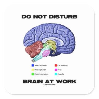 Do Not Disturb Brain At Work (Anatomical Humor) Square Sticker