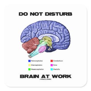 Do Not Disturb Brain At Work (Anatomical Humor) Square Sticker