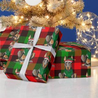 Doberman Dog with Red and Green Plaid Christmas