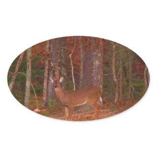 Doe a Deer in Lake Arrowhead Oval Sticker