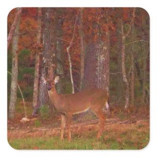 Doe a Deer in Lake Arrowhead Square Sticker
