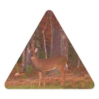 Doe a Deer in Lake Arrowhead Triangle Sticker